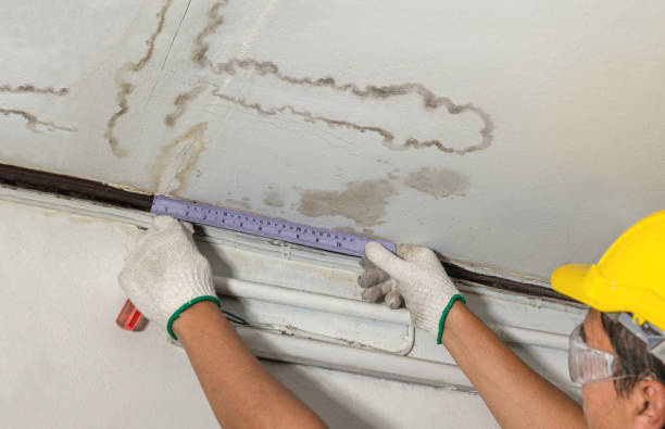 Reliable Water Damage contractor in Canterbury, NH by Water Damage Irwin